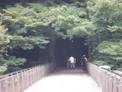 080818usuitoge-18.jpg