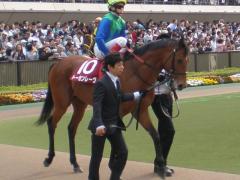 20110430aobasho-03.jpg