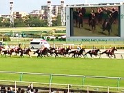 20130427aobasho-0001