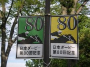 20130427aobasho-0104