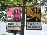 20130427aobasho-0105