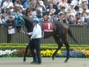 20130427aobasho-0301