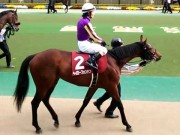 20130427aobasho-0302