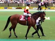 20130427aobasho-0303