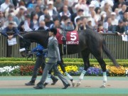 20130427aobasho-0305