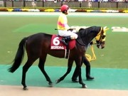 20130427aobasho-0306