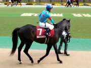 20130427aobasho-0307