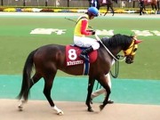 20130427aobasho-0308