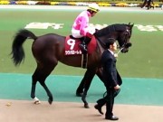 20130427aobasho-0309