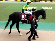 20130427aobasho-0310