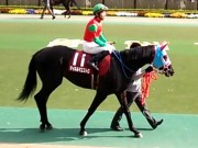 20130427aobasho-0311