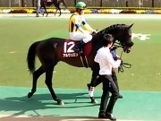 20130427aobasho-0312