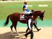 20130427aobasho-0314