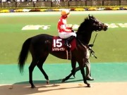 20130427aobasho-0315