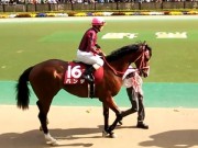 20130427aobasho-0316