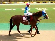 20130427aobasho-0318