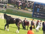 20130427aobasho-0503