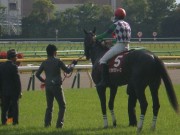 20130427aobasho-0504