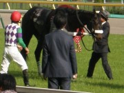 20130427aobasho-0505