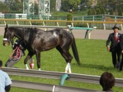 20130427aobasho-0506