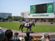 20130506kashiwakinen-05paddock