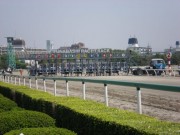 20130506kashiwakinen-11start