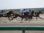 20130506kashiwakinen-12race