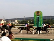 20130506kashiwakinen