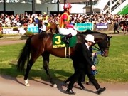 20130506kashiwakinen-51paddock03