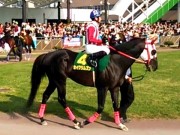 20130506kashiwakinen-51paddock04