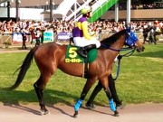 20130506kashiwakinen-51paddock05