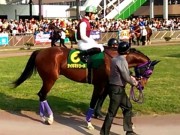 20130506kashiwakinen-51paddock06