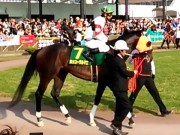 20130506kashiwakinen-51paddock07