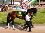 20130506kashiwakinen-51paddock08