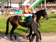 20130506kashiwakinen-51paddock09