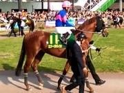 20130506kashiwakinen-51paddock11