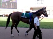 20130825hrc-57paddock01
