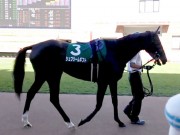 20130825hrc-57paddock03
