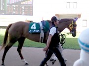 20130825hrc-57paddock04