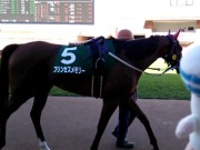 20130825hrc-57paddock05