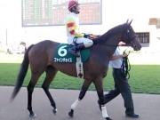 20130825hrc-57paddock06