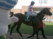 20130825hrc-57paddock07