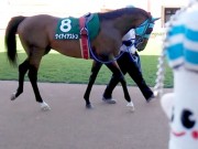 20130825hrc-57paddock08