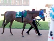 20130825hrc-57paddock09