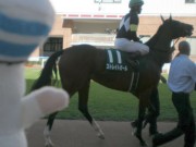 20130825hrc-57paddock11