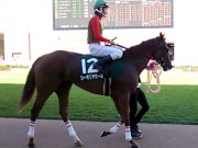 20130825hrc-57paddock12
