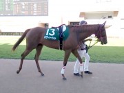 20130825hrc-57paddock13