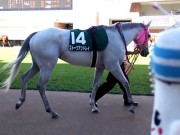 20130825hrc-57paddock14