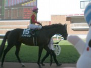 20130825hrc-57paddock15