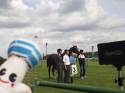 20130914nakayama-kab06